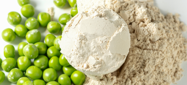 Pea Protein